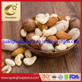 Good Quality Almonds in Shell